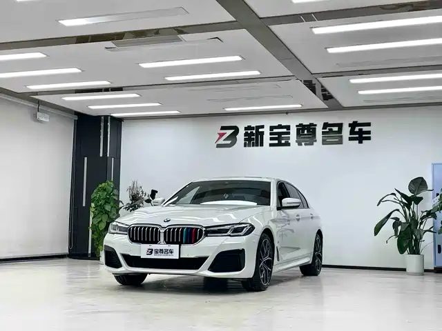 BMW 5 SERIES
