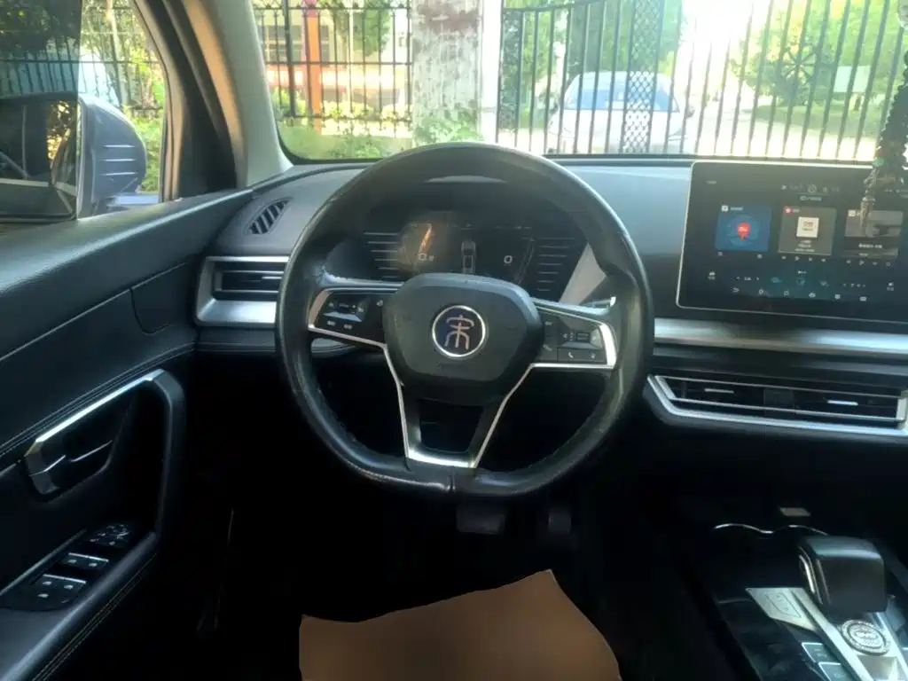 BYD Pro — миниатюра 11