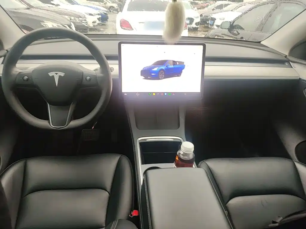 Tesla Model Y — миниатюра 10