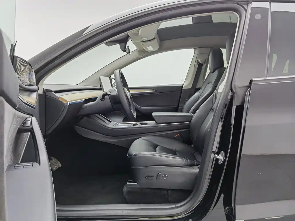 Tesla Model Y — миниатюра 10