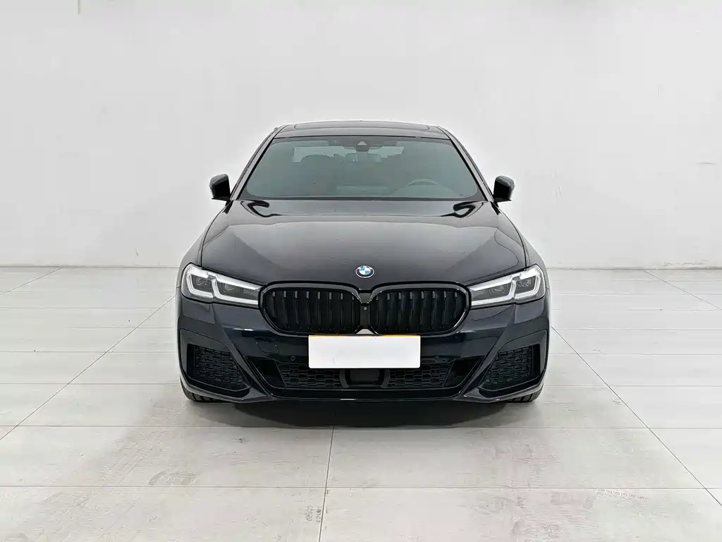 BMW 5 Series — миниатюра 2