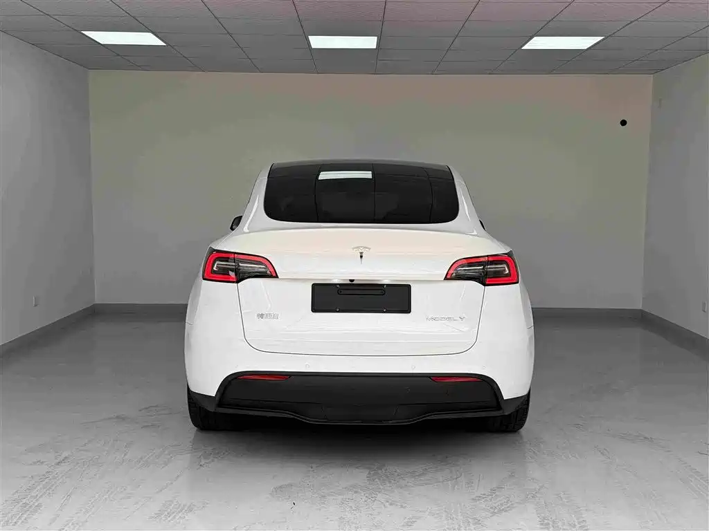 Tesla Model Y — миниатюра 19