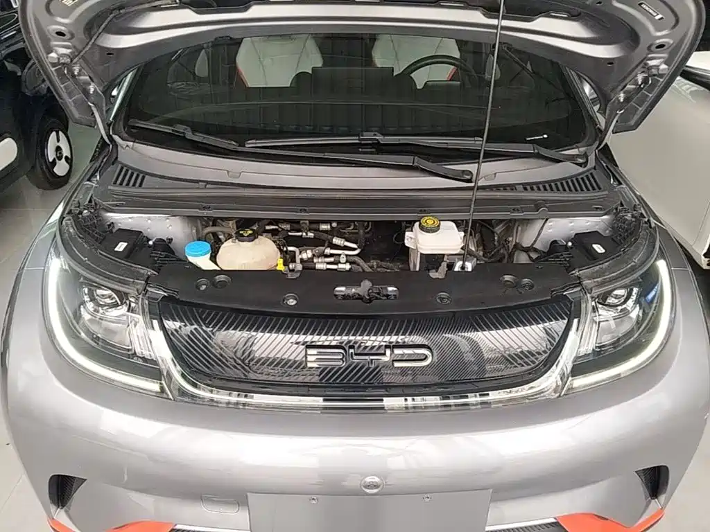 BYD Dolphin — миниатюра 20