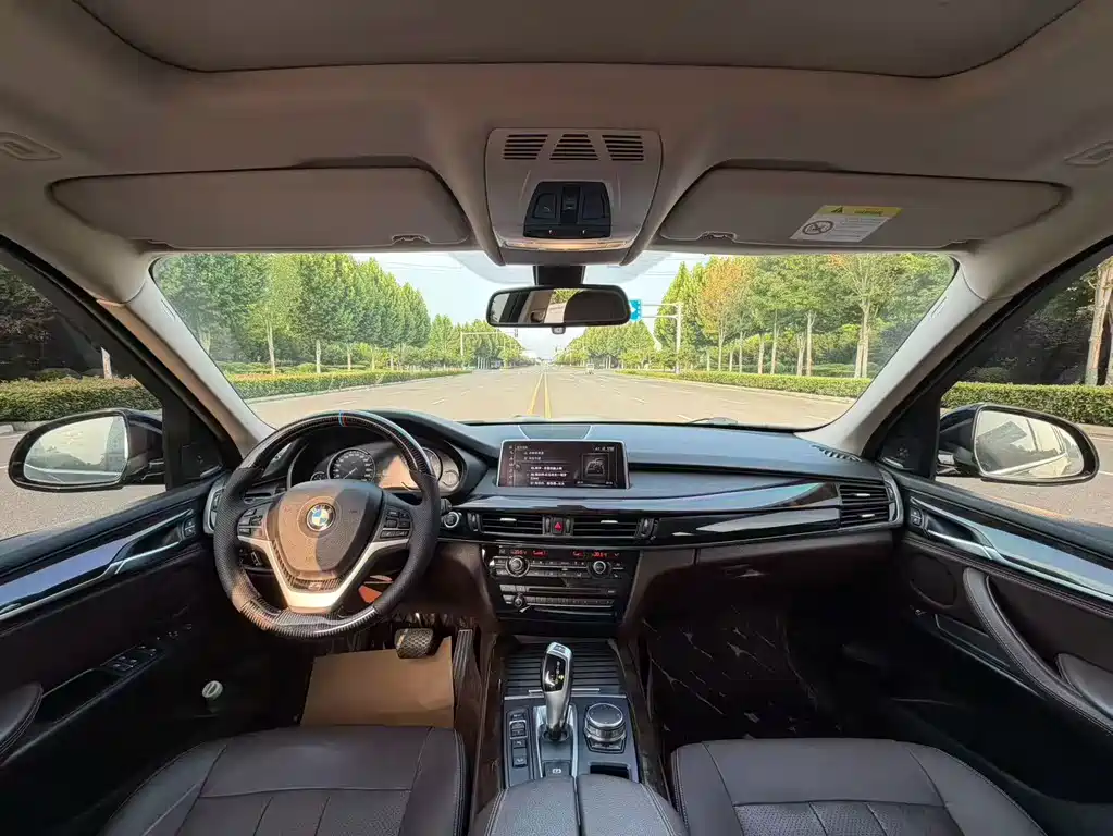 BMW X5 (Import) — миниатюра 8