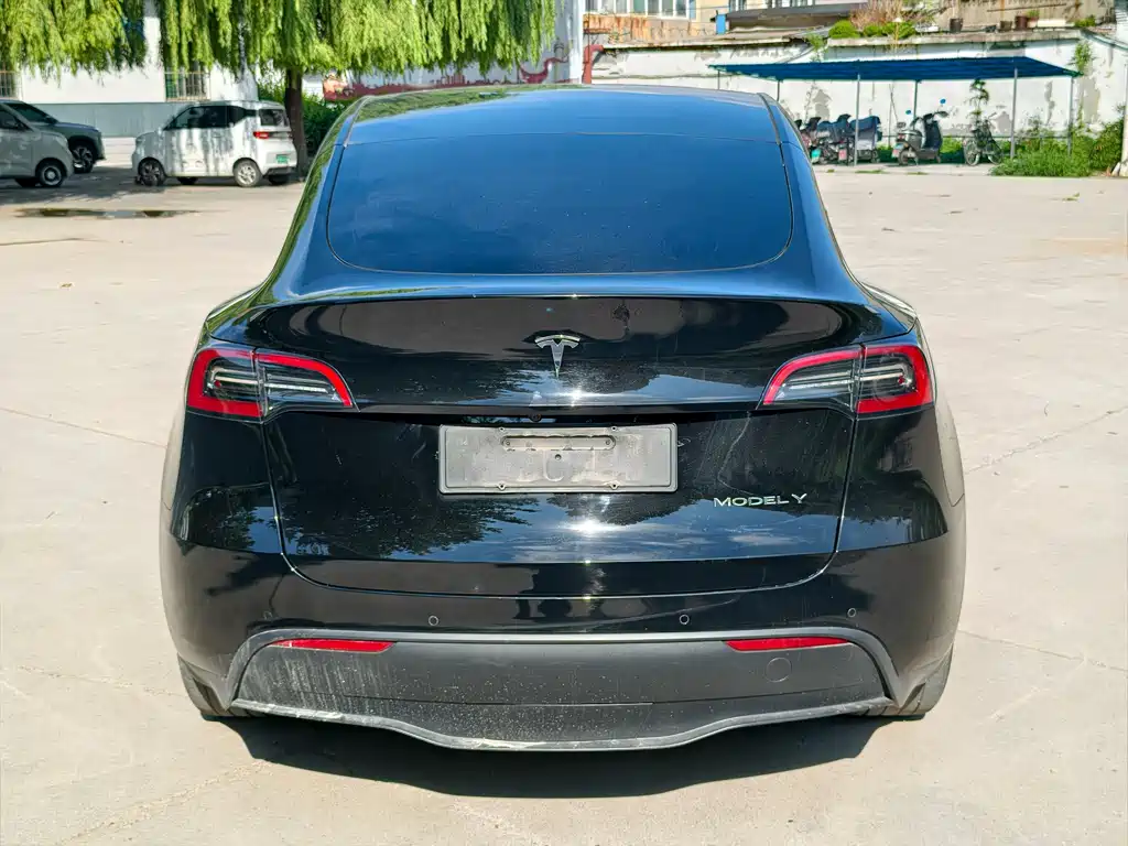 Tesla Model Y — миниатюра 4