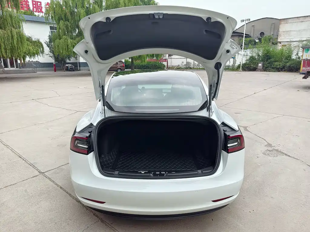Tesla Model 3 — миниатюра 14