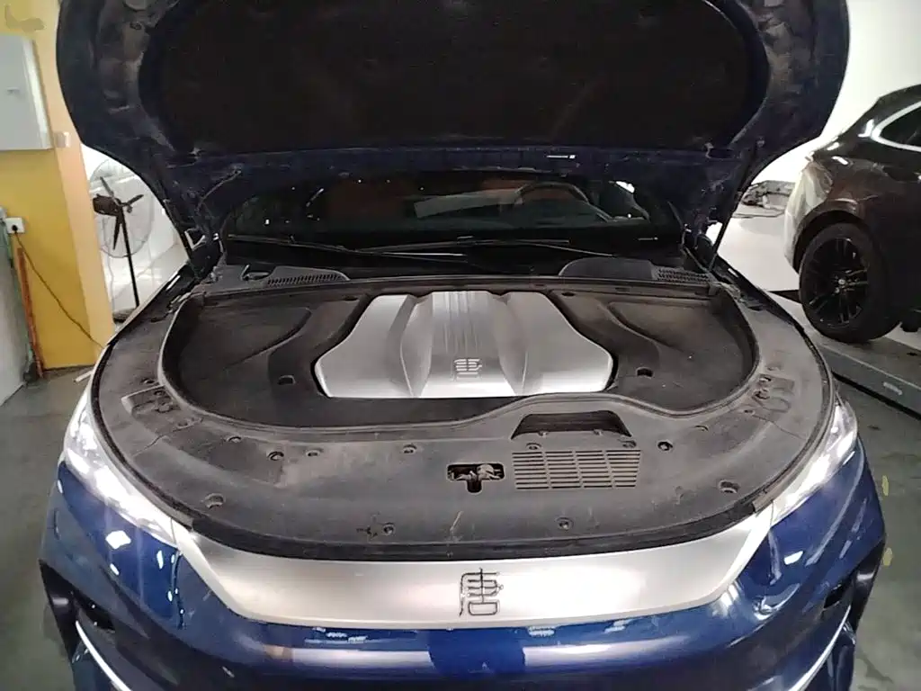 BYD Tang New Energy — миниатюра 20