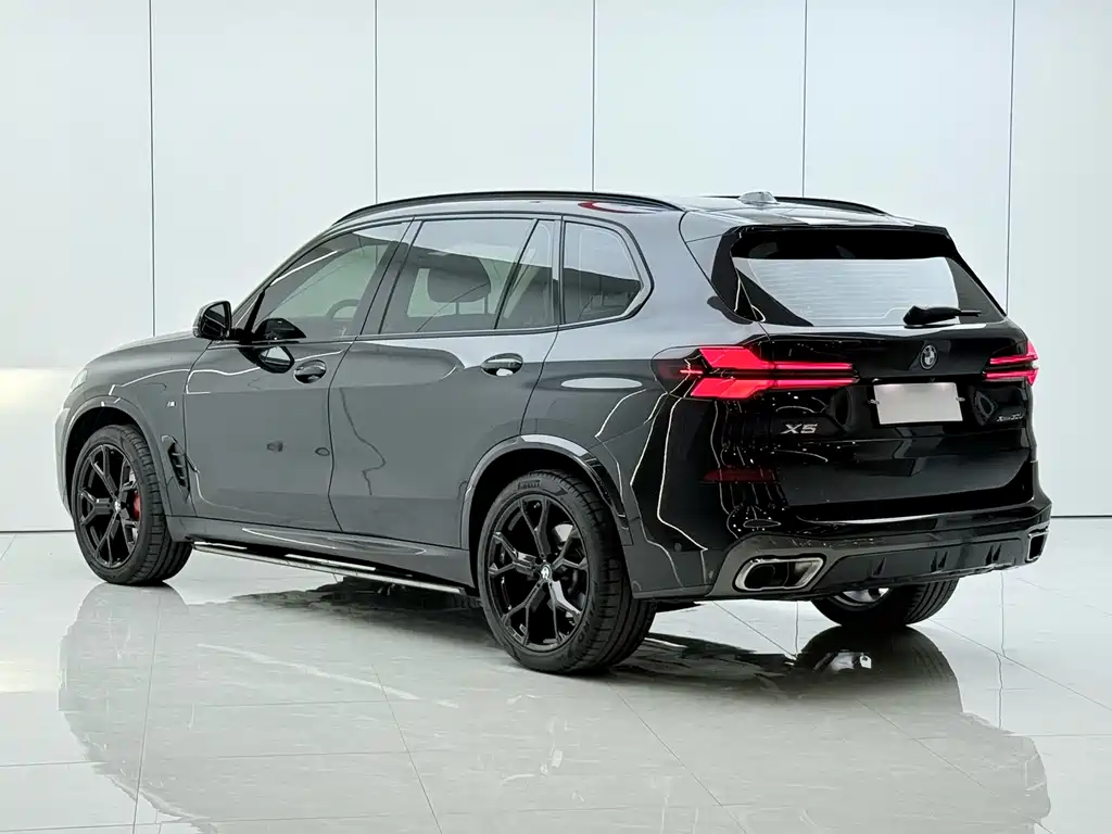 BMW X5 — миниатюра 16