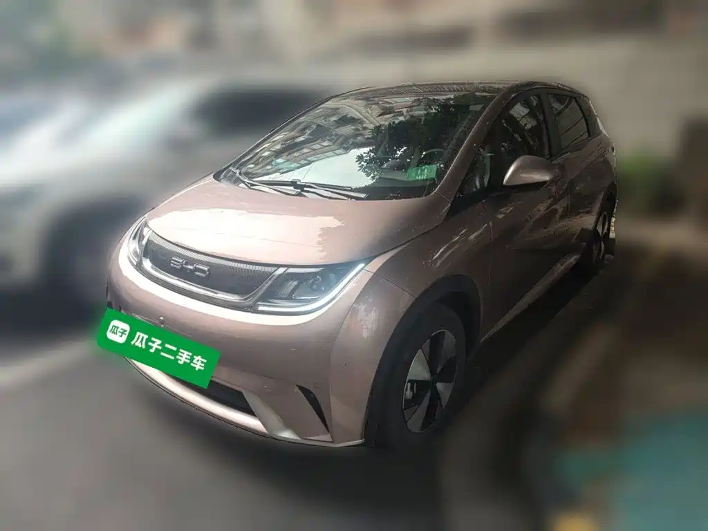 BYD Dolphin — миниатюра 2
