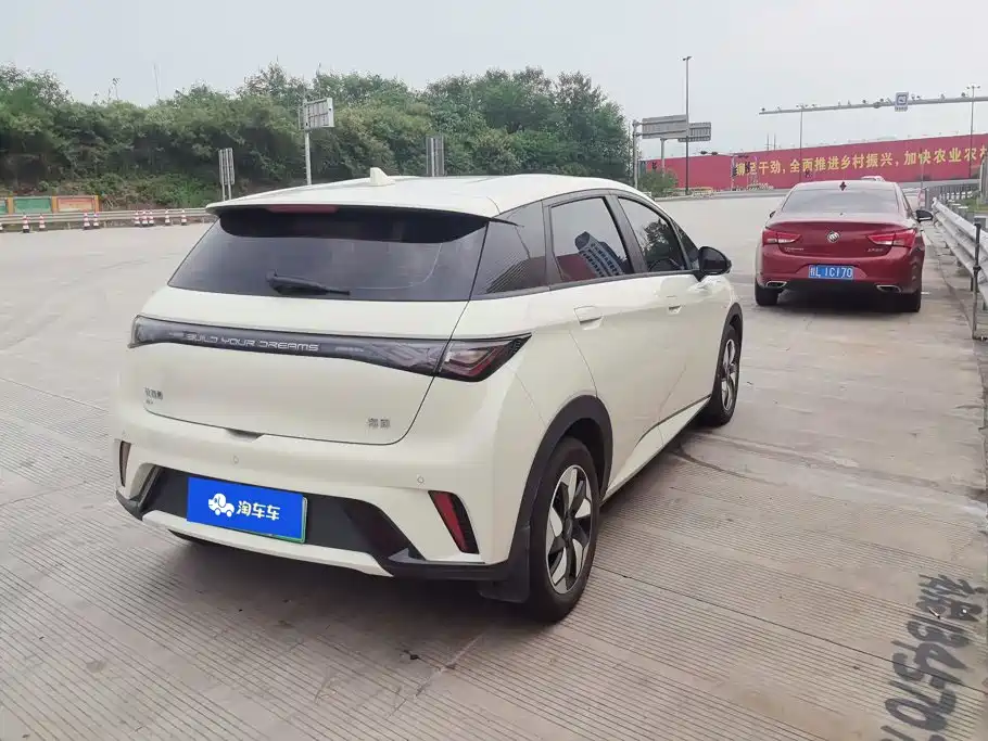 BYD Dolphin — миниатюра 3