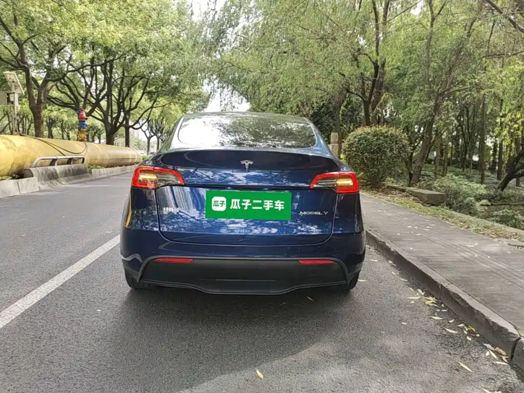 Tesla Model Y — миниатюра 6