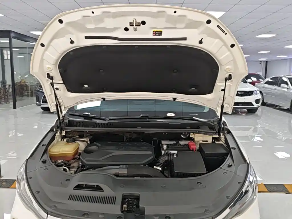 BYD MAX — миниатюра 20