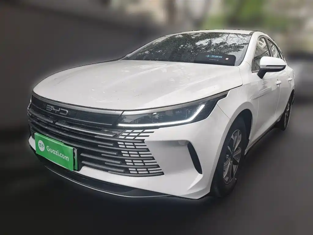 Byd Destroyer 05 2024