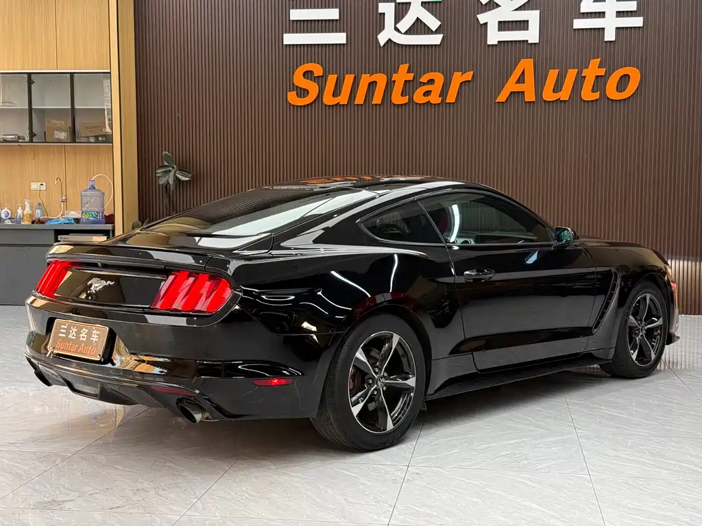 Ford Mustang — миниатюра 6