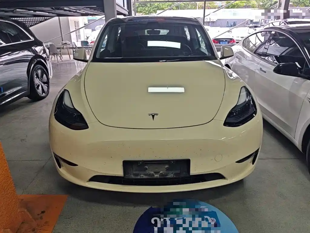 Tesla Model Y — миниатюра 3