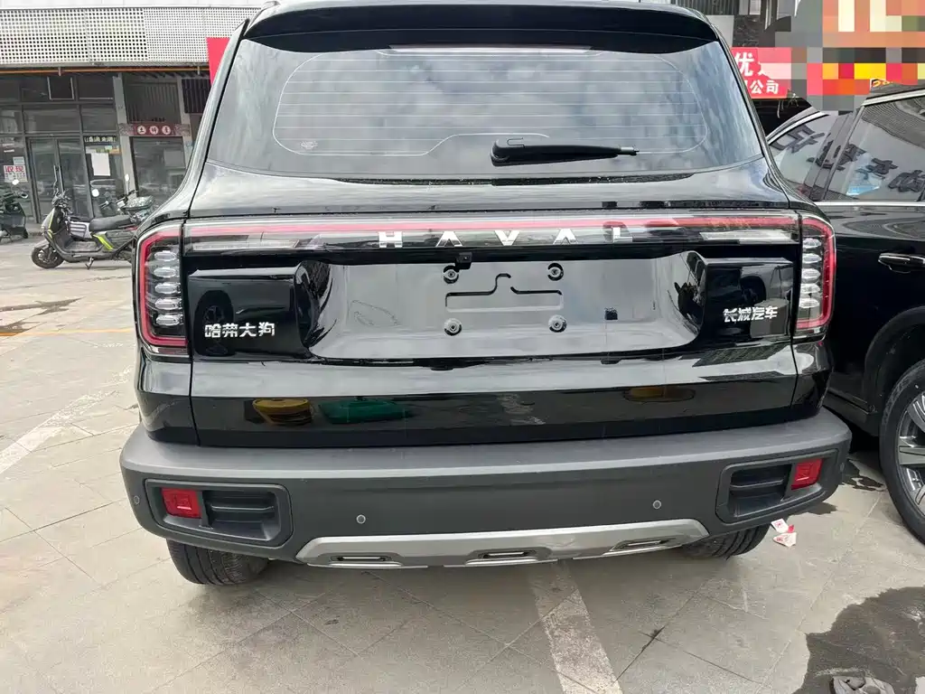 HAVAL BIG DOG