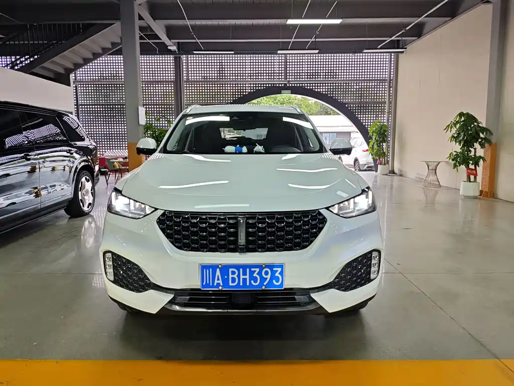 Wey Wey VV6 — миниатюра 2