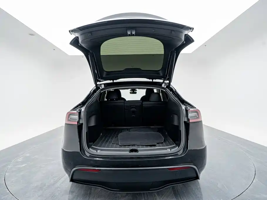 Tesla Model Y — миниатюра 9