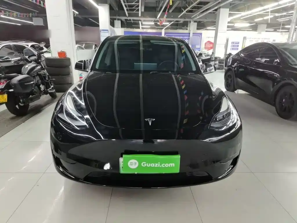 Tesla Model Y — миниатюра 3