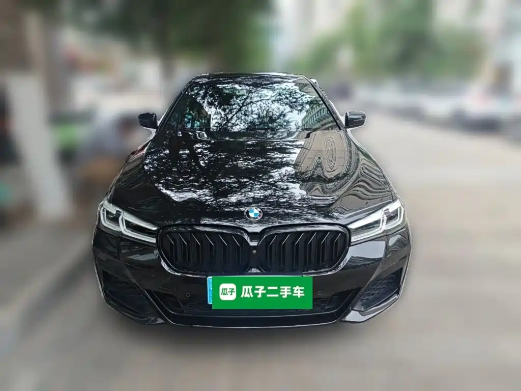 BMW 5 Series — миниатюра 24