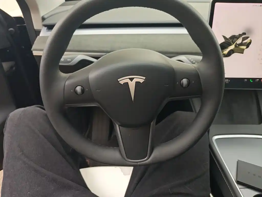 Tesla Model Y — миниатюра 11