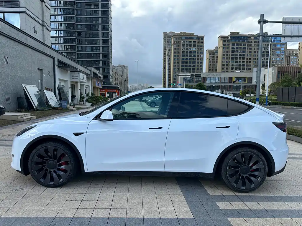 Tesla Model Y — миниатюра 10