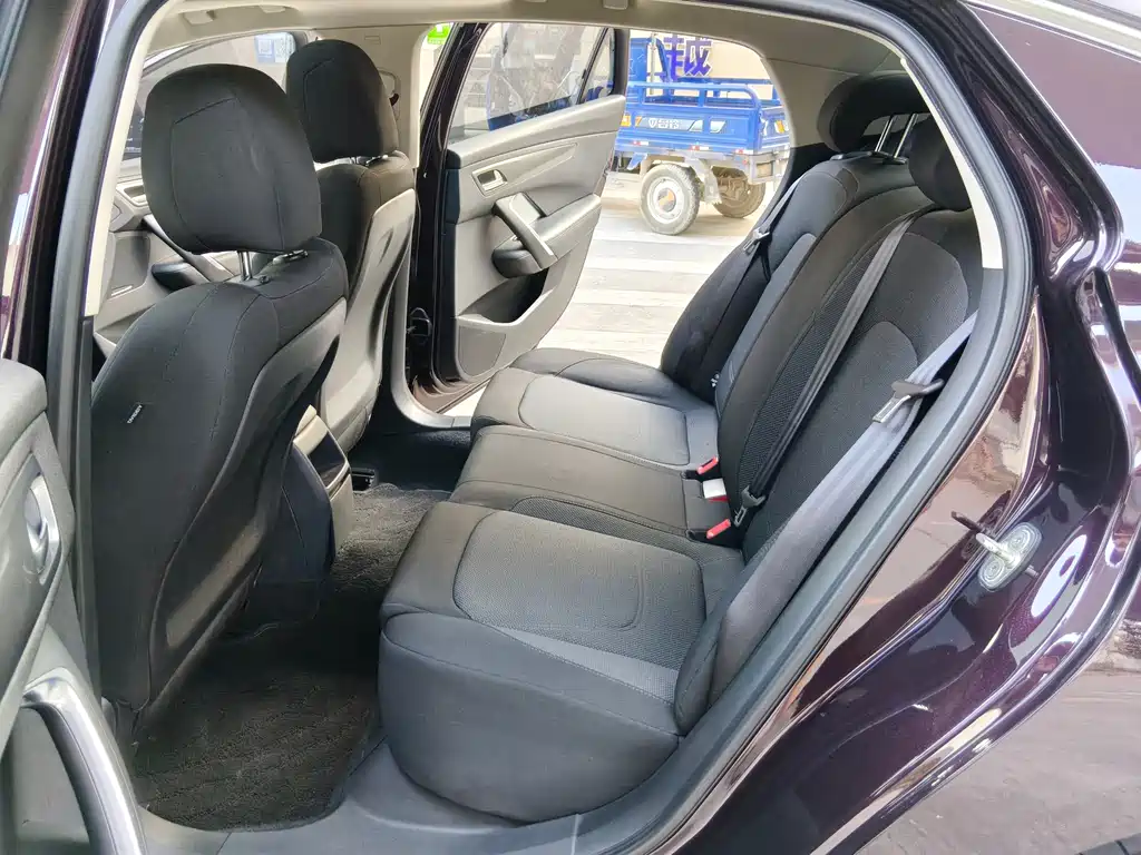DS DS 5LS — миниатюра 10