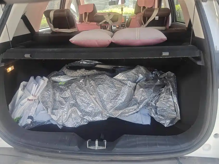 BISU AUTO SPECIFIC SPEED T3