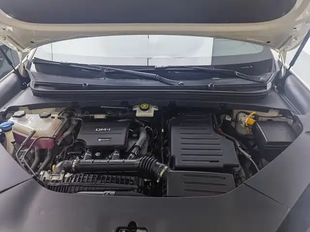 BYD Haisi 06 — миниатюра 9