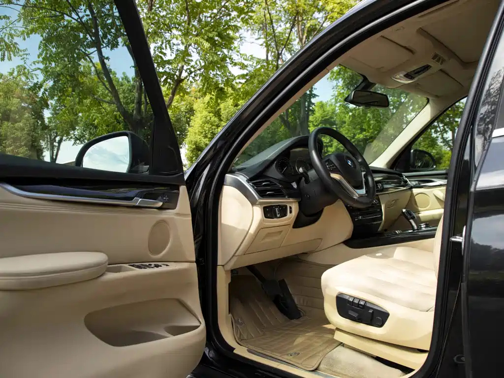 BMW X5 (Import) — миниатюра 10