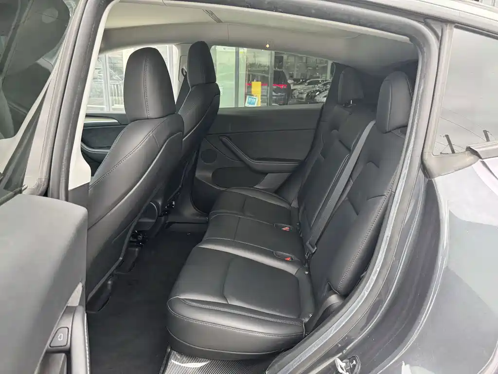 Tesla Model Y — миниатюра 6