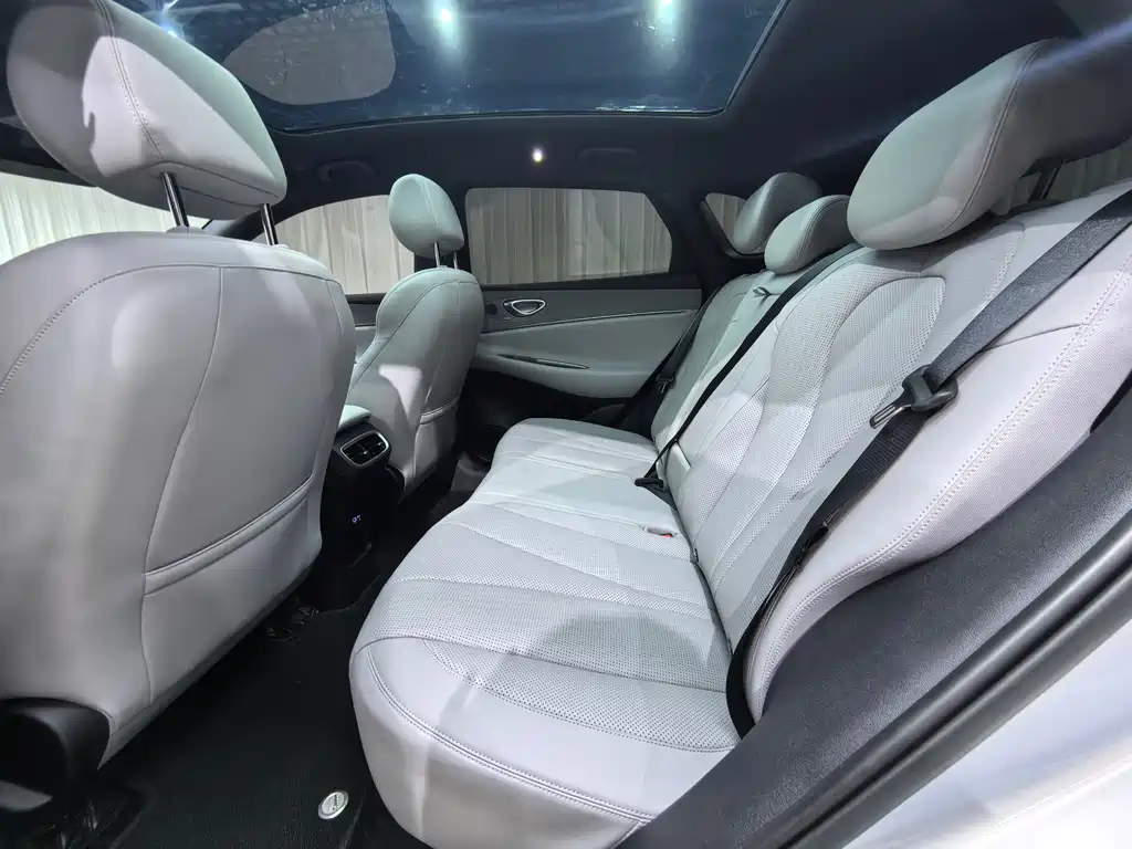 BYD Haisi 06 — миниатюра 33