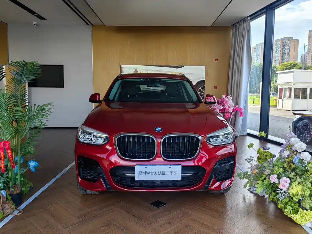 BMW X3 — миниатюра 2