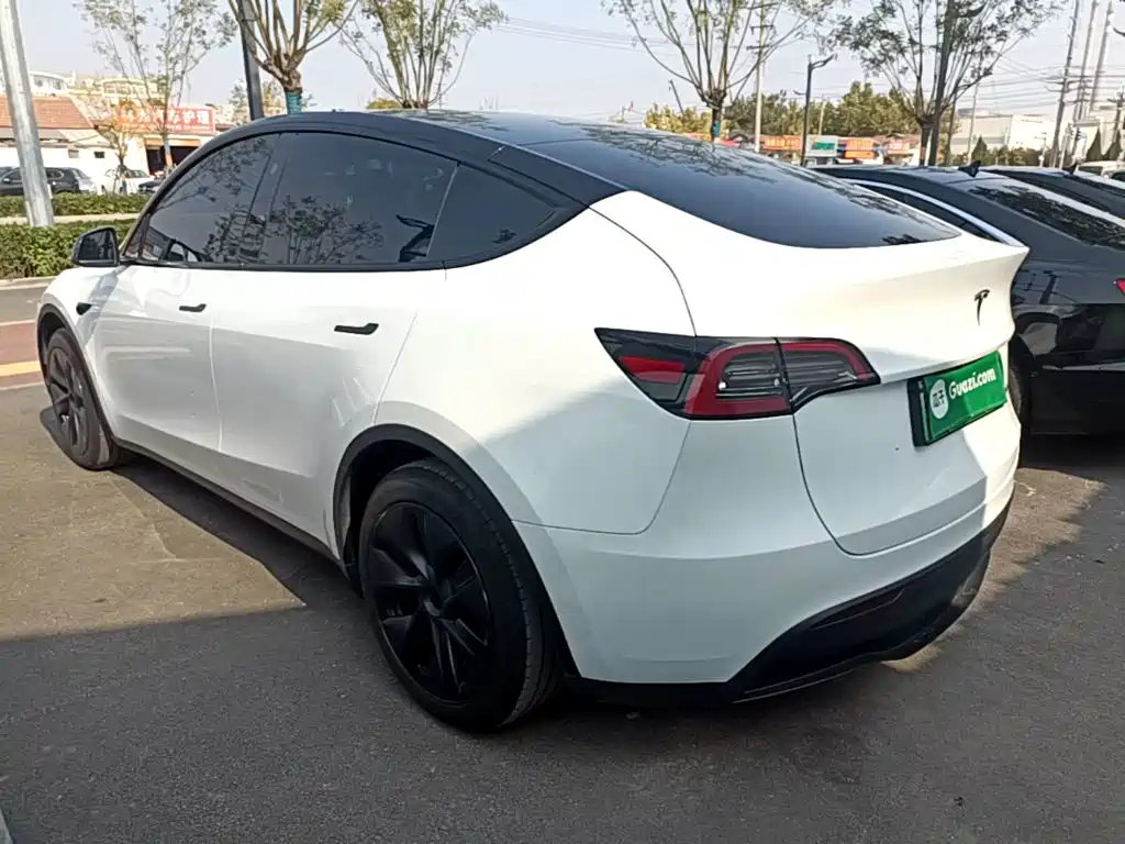 Tesla Model Y — миниатюра 5