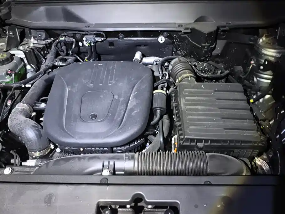 HAVAL RAPTORS NEW ENERGY