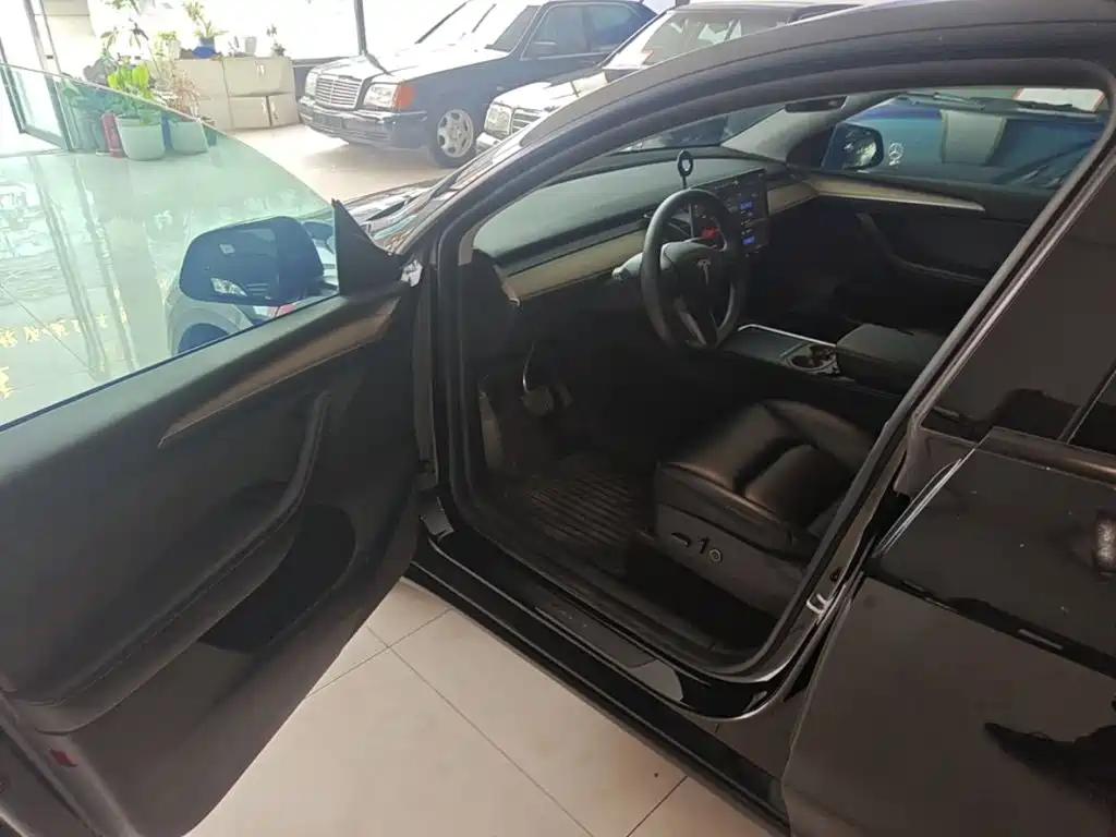 Tesla Model Y — миниатюра 16