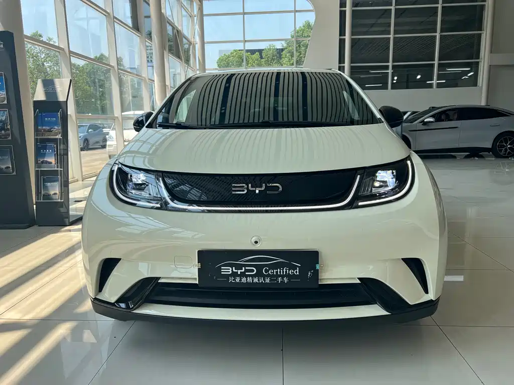 BYD Dolphin — миниатюра 2