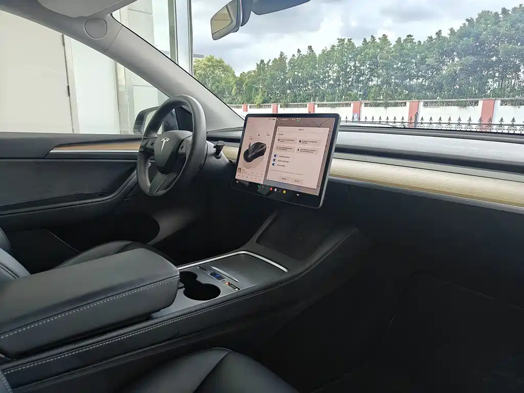 Tesla Model Y — миниатюра 14