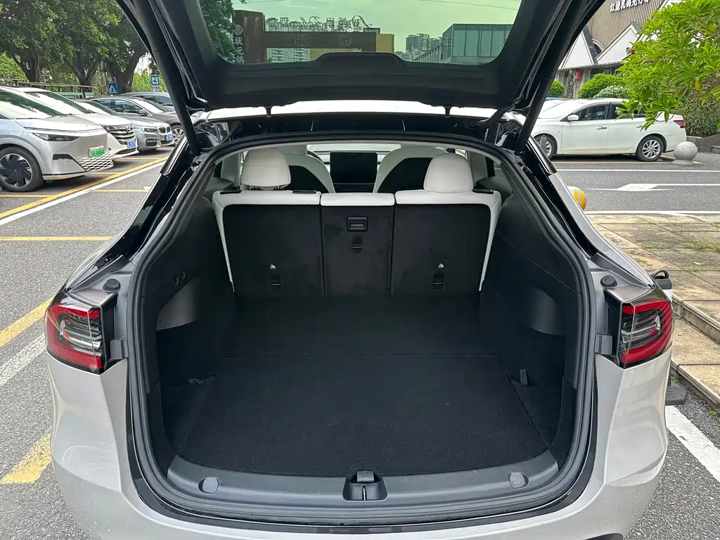 Tesla Model Y — миниатюра 11