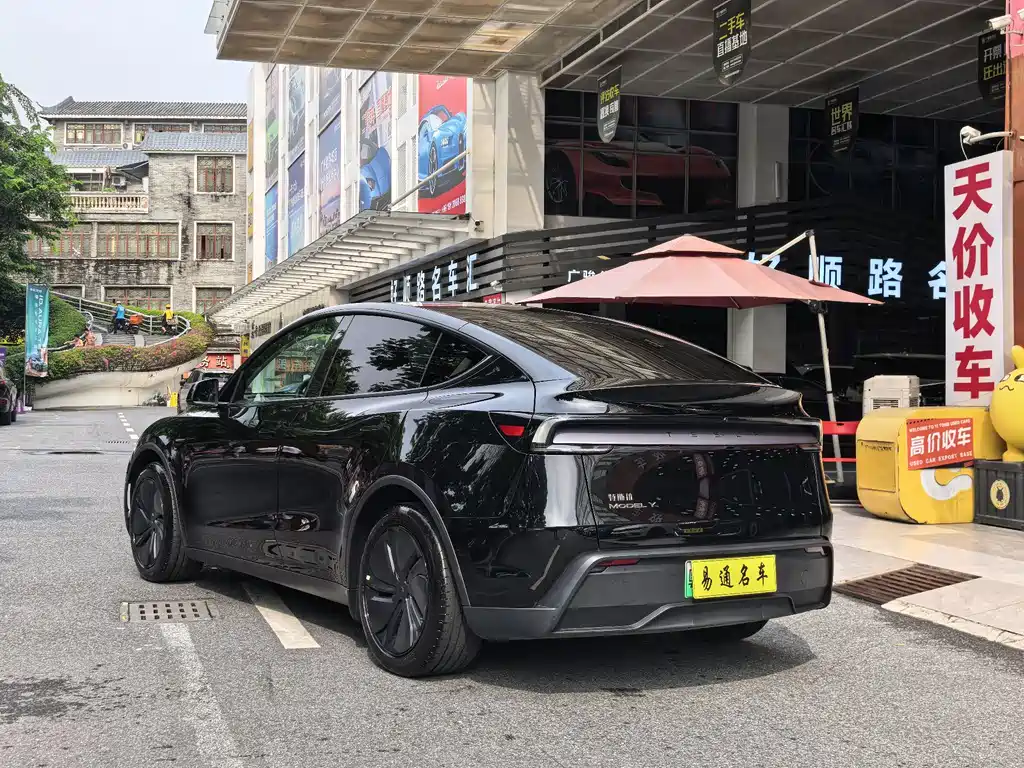 Tesla Model Y — миниатюра 7