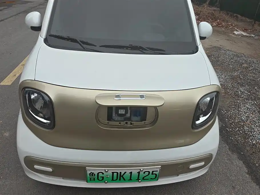 BESTUNE PENTIUM PONY