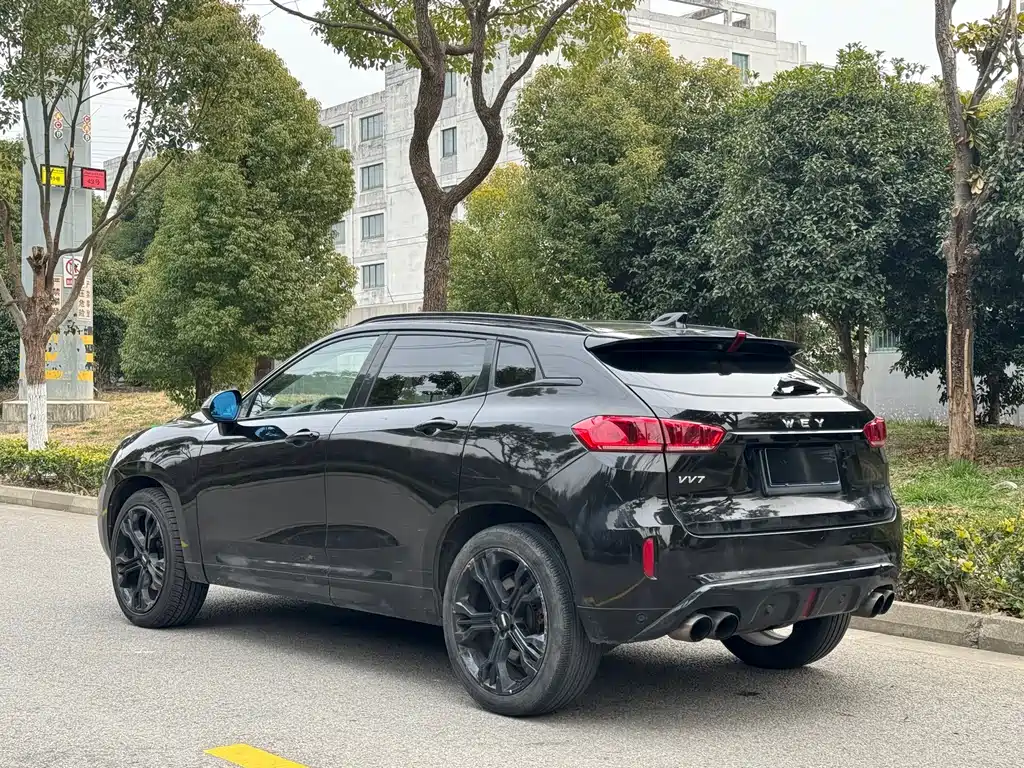 WEI PAI WEI BRAND VV7