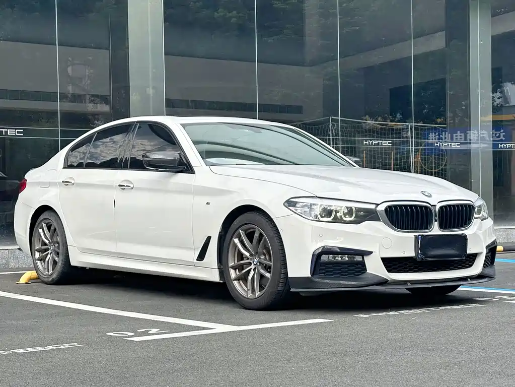 BMW 5 Series (Import) — миниатюра 5