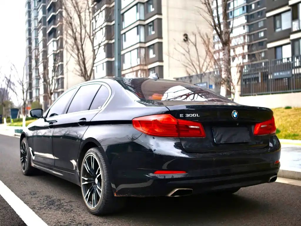 BMW 5 Series 5 2018 528Li