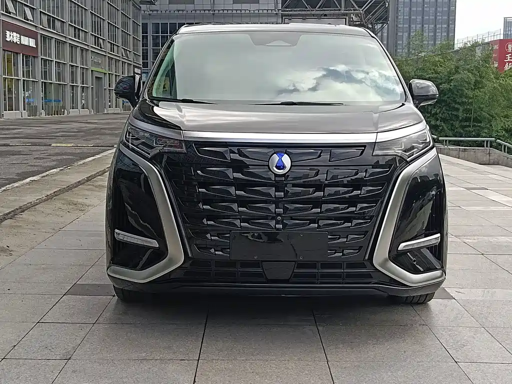 Denza Denza D9 — миниатюра 2