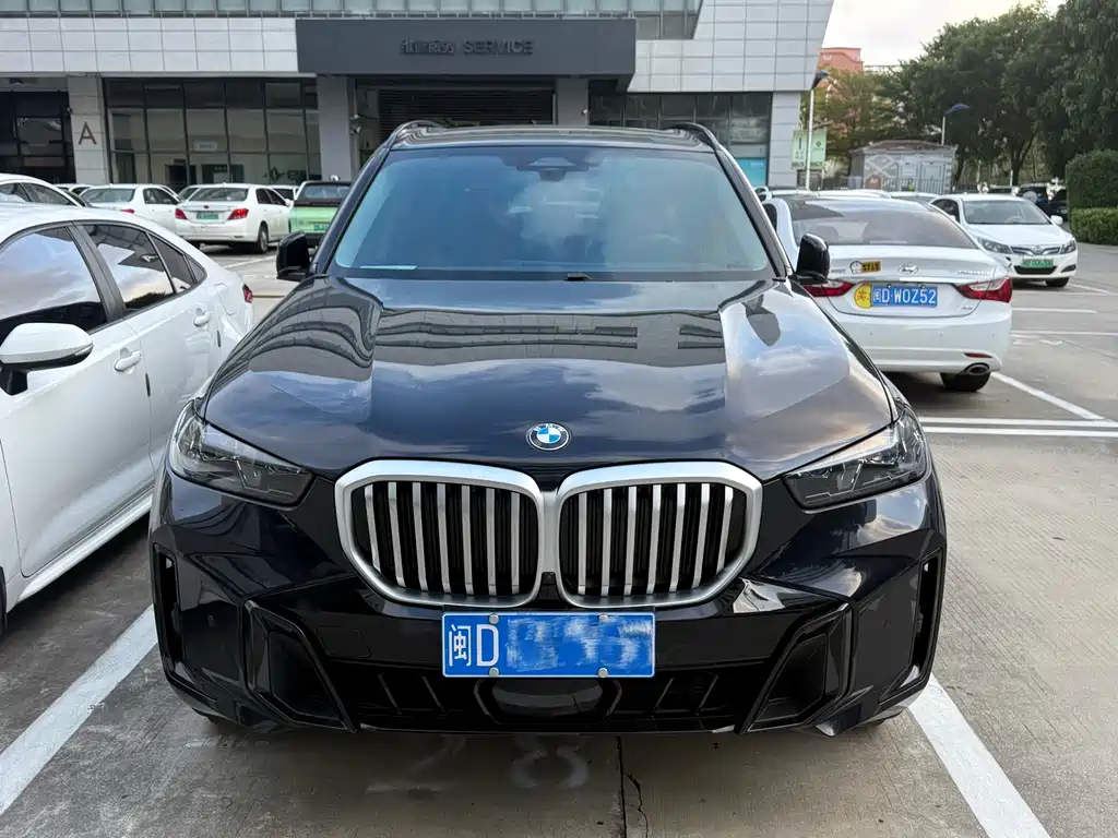 BMW X5 — миниатюра 2