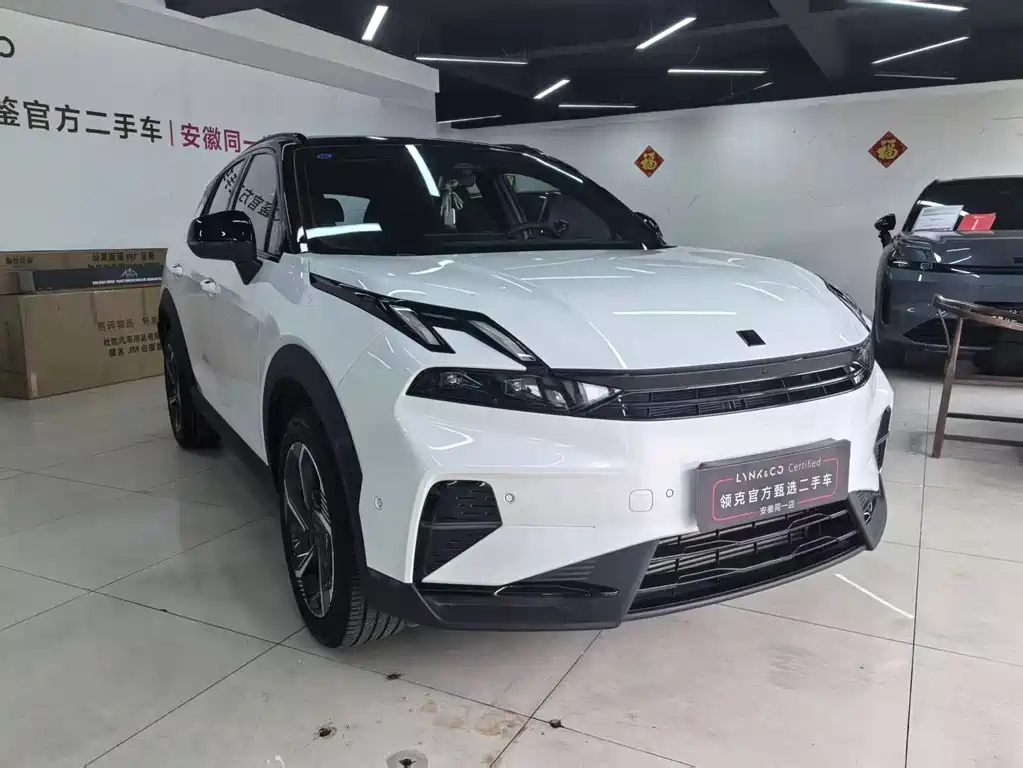 LYNK 06