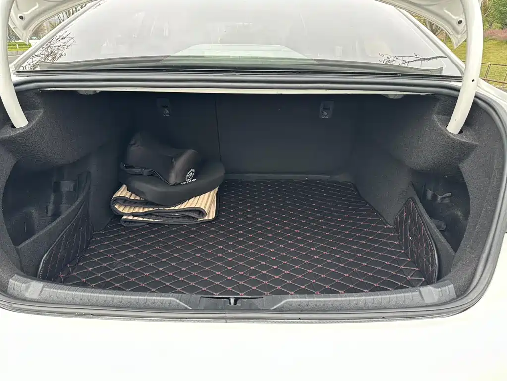 Volkswagen Lamando — миниатюра 11