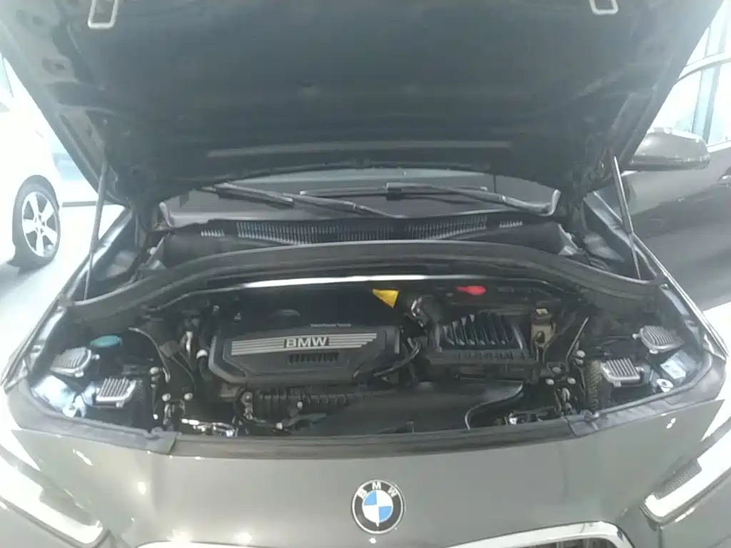 BMW X2 (Import) — миниатюра 20