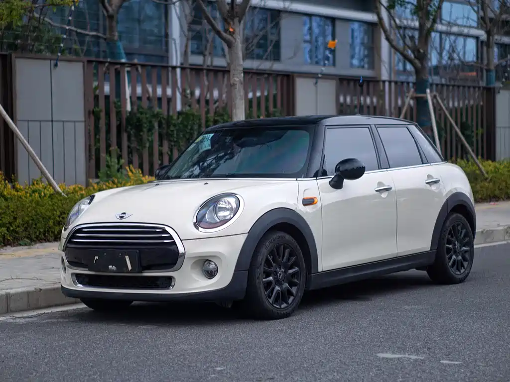 Mini Mini 2018